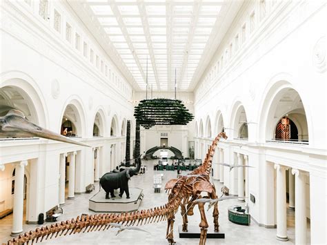 18 Best Chicago Museums You Should Explore In 2023