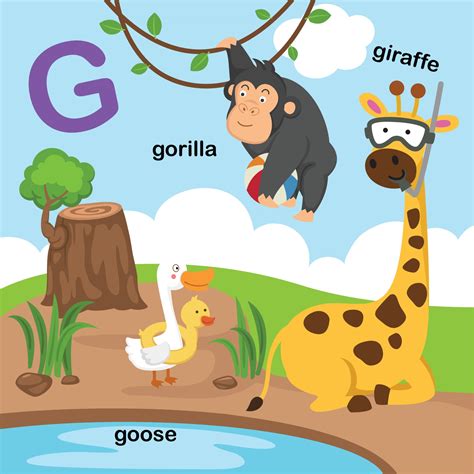 Illustration Isolated Alphabet Letter G Giraffegoosegorillavector