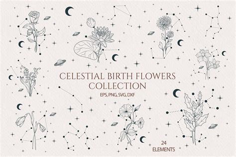 Hand Drawn Celestial Birth Month Flowers Graphic By Kirills Workshop