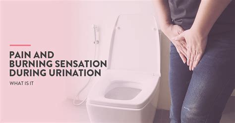 What Causes Painful Urination Standard Lab
