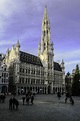 Town hall of Brussels, Belgium image - Free stock photo - Public Domain ...
