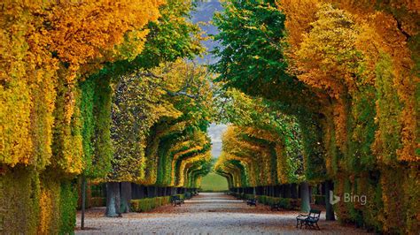 Schonbrunn Palace Vienna 2016 Bing Desktop Wallpaper Preview