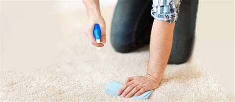 How To Remove Odors From Carpet Green Carpet Brooklyn