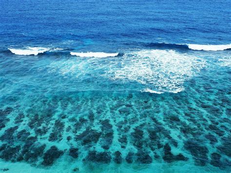 49 Live Ocean Waves Wallpapers Wallpapersafari