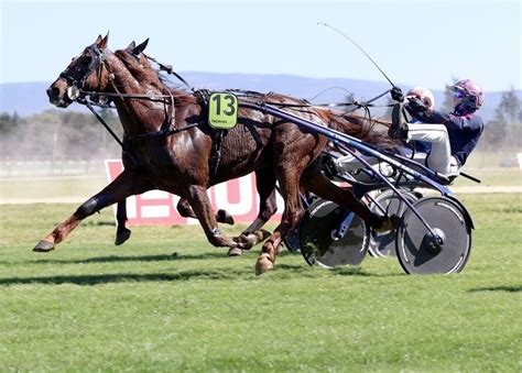 Trophee Vert Leg 2 To Enzo Du Klau Harnesslink