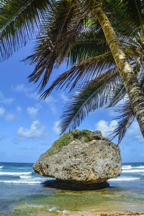 Exploring The Unspoilt Beauty Of East Barbados Hand Luggage Only
