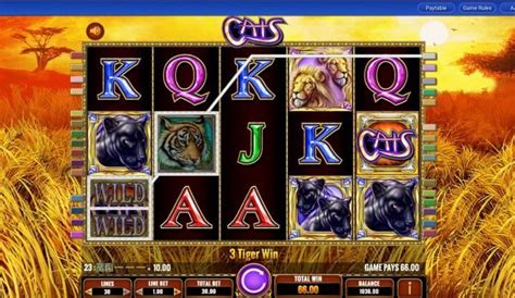 Cats Slot Game Demo Play And Free Spins