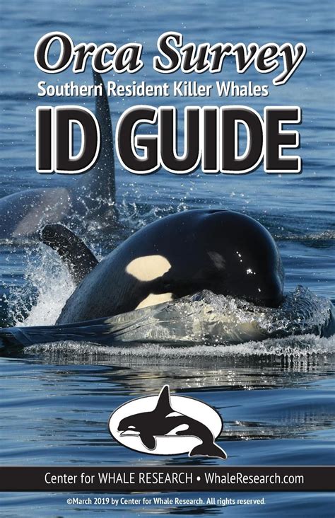 2019 Orca Survey Id Guide