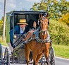 Pennsylvania Amish 2 Photograph by Steve Harrington - Fine Art America