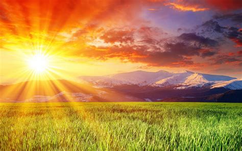 Field Sunlight Mountains Grass Sky Wallpaper 2560x1600 524482