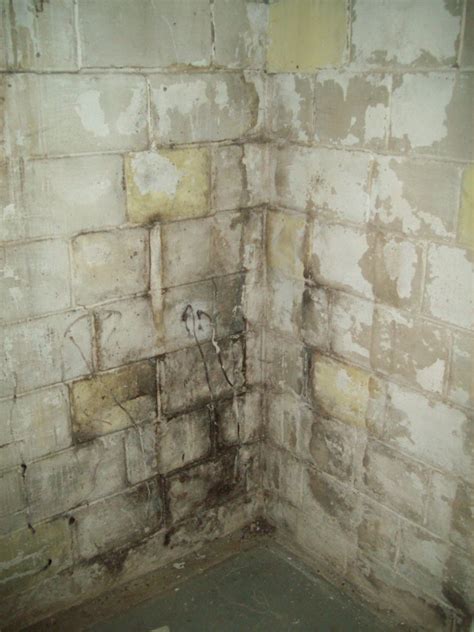 Bad cinder block walls in basement
