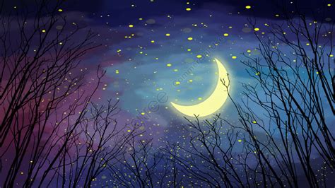Night Forest Moon Starry Sky Beautiful Silhouette