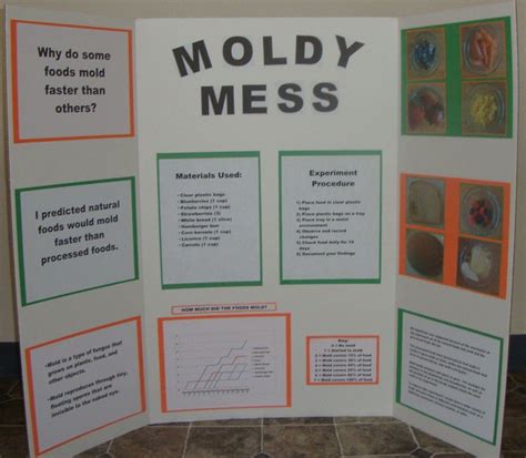 Science Fair Project Idea Why Do Some Foods Mold Faster Than Others