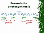 Equation For Photosynthesis