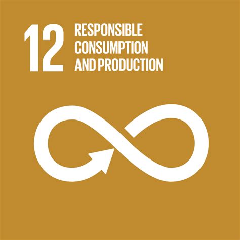 Sustainable Development Goal Responsible Consumption And Production