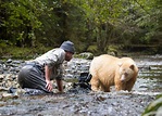 Spirit Bear and the Great Bear Rainforest Shine in Imax Film – Vacay.ca