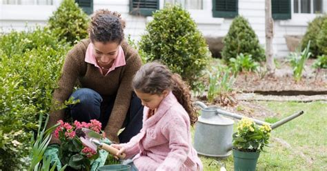 Environmentally Friendly Tips For Your Garden Home Garden Share