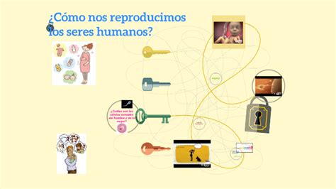 ¿cómo Nos Reproducimos Los Seres Humanos By Agueda Capulin Sanchez