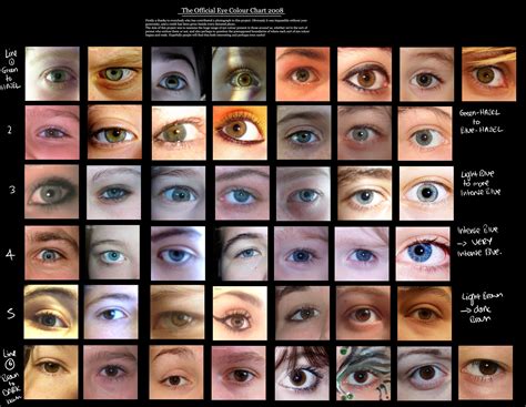 Human Eye Colour Chart By Delpigeon The Eye Sight