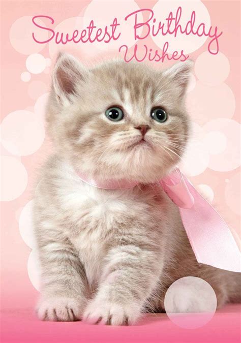 Kitten Birthday Card