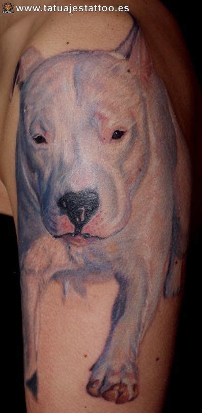 Los Mejores Tatuajes De Perros Pitbull Imagui Kulturaupice