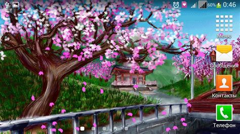 10 Japanese Cherry Blossom Anime Wallpaper Tachi Wallpaper
