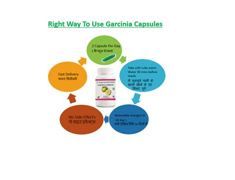 garcinia cambogia capsules for weight loss pack size 100 gram at rs 1200 bottle in new delhi