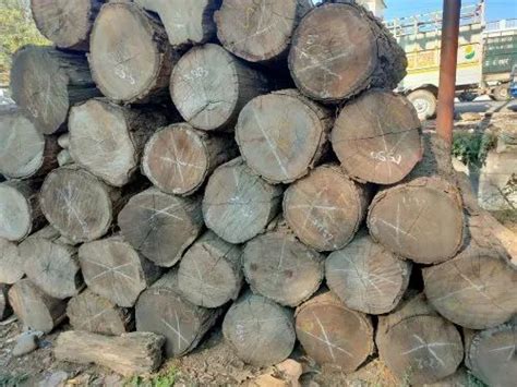 Sheesham Wood In Delhi शीशम की लकड़ी दिल्ली Delhi Sheesham Wood Sheesham Price In Delhi