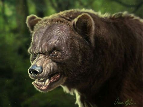 Aaron Blaise Concept Art Concept Art Character Bear Face Drawing