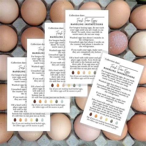 Fresh Farm Eggs Handling Instructions Sticker Sticker Size Etsy