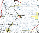Clayton, Alabama (AL 36016) profile: population, maps, real estate ...