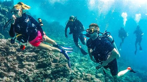 Scuba Diving What To Do In Costa Rica Book Local And Directly