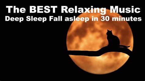 4k 30 Minutes Deep Sleep Music Ambient Sleep Music Relaxing Music Meditation Music To Relax