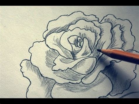 I have started building this course by creating and offering 21 drawing lessons. How to draw a very beautiful, 3D, realistic, delicate ...