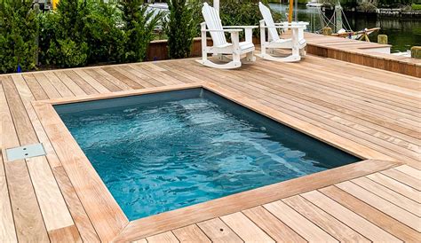 The Fiji Plunge Beautiful Plunge Pool Leisure Pools Usa