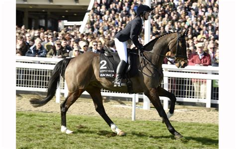 Start date feb 18, 2012. Farewell to Grand National hero Comply Or Die - Horse & Hound