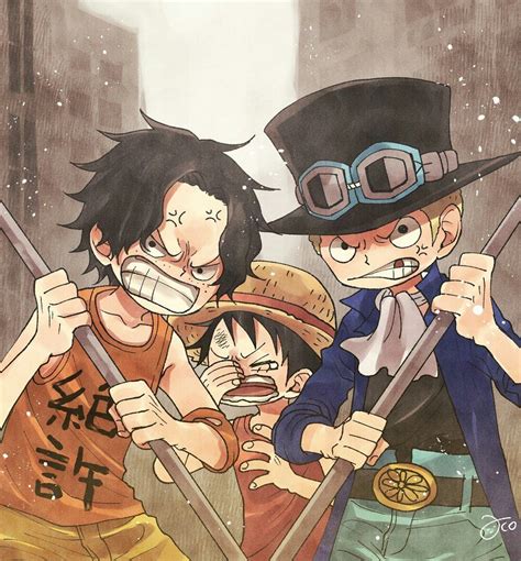 Ace And Sabo Are Very Overprotective 😂💕 Manga Anime One Piece Ace