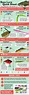 Bass Fishing Lure Diagram - Fishing Tips Infographic to help you choose ...
