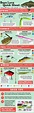 Bass fishing lure diagram fishing tips infographic – Artofit