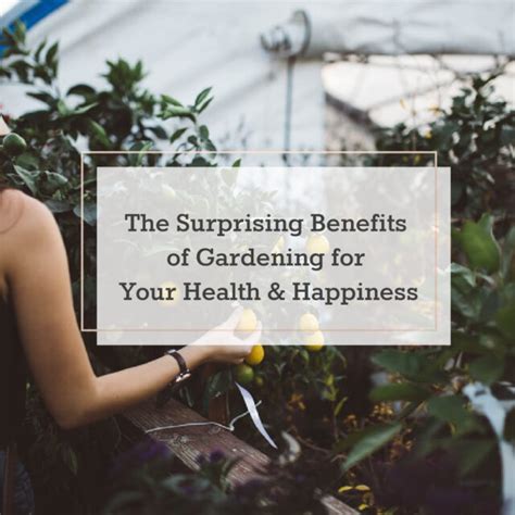 The Surprising Benefits Of Gardening For Your Wellbeing The Health