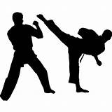 Pictures of Martial Art Stickers