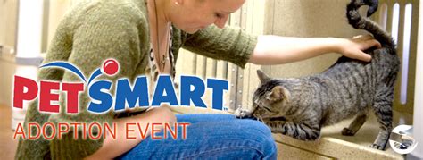 Shop all cat treats online. Adoptable Dogs and Cats at Petsmart Saturday, December 12 ...