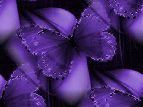 Purple Butterfly Background Wallpapersafari