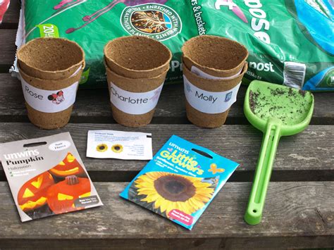 Growing Sunflowers with toddlers | Growing sunflowers, Gardening for kids, Planting sunflowers