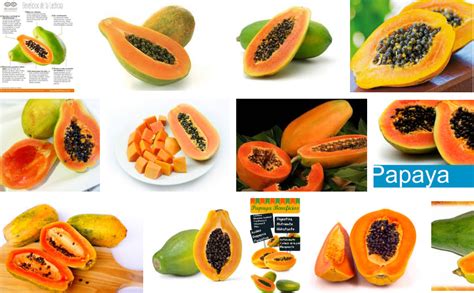 Lechosa O Papaya Saber Todos De Esta Rica Fruta Conocimiento Y Salud