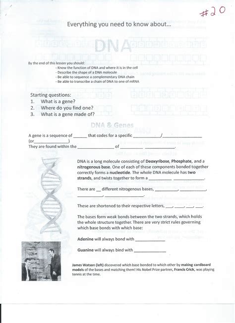 Biology Printable Worksheet