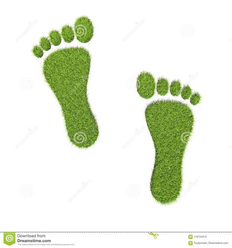 Green Grass Footprints On White Background Stock Illustration