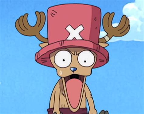 Chopper One Piece Chopper One Piece Funny One Piece Photos