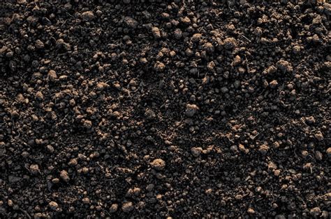 Premium Photo Fertile Loam Soil Suitable For Planting Soil Texture