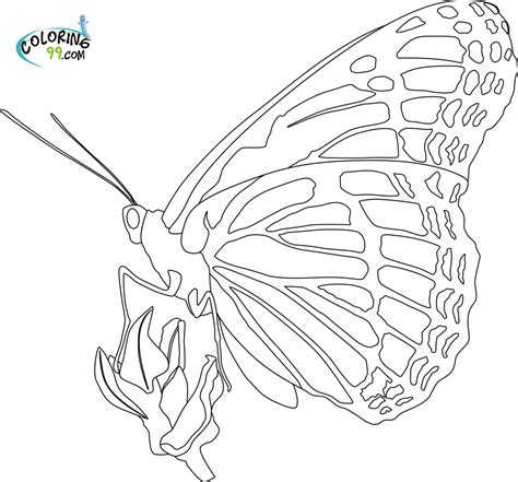 Butterfly Coloring Pages Minister Coloring